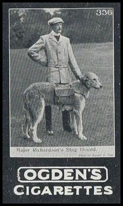 336 Major Richardson's Stag Hound